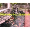 权威的鱼池水处理苏州祥和精创：芜湖鱼池水处理鱼池水净化