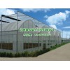 日光温室建造费用|蔬菜温室大棚
