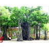 西安假树制作专业制作商——兴平假树