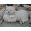 【荐】泉州高档猫狗石雕：动物石雕厂家