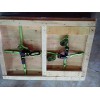 实用木箱：路博包装公司供应耐用的投标蝶扣木箱