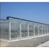 良好口碑的连栋温室厂家 连栋温室大棚建造价格