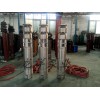 上海耐酸碱潜水泵，龙洋泵业提供优惠的井用潜水泵