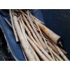 木材剥皮机哪里生产——专业木材剥皮槽推荐
