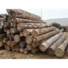 建筑木材价格 优质的辐射松尽在亚誉双木业