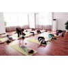 娜玛思岱迈索尔瑜伽提供专业的瑜伽课程：专业瑜伽课程信息