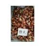 青岛冷冻龙虾尾，优质的速冻龙虾尾，双源水产供应