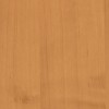 瑞普拉萨pvcpvc木纹钢板_正规的西班牙进口 pvc仿木纹钢板，别错过上海晋强