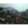 山东专业的智能温室建造公司，搭建智能温室大棚