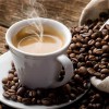 哪里有批发酵素咖啡 出售酵素咖啡