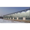 花卉温室大棚：位于潍坊有信誉度的连栋温室厂家