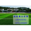 桂林塑胶人造草厂家批发 桂林康力体育，品质保证
