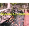苏州鱼池水处理专业承接|周口鱼池水处理鱼池水净化