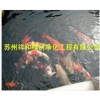 苏州鱼池水处理专业承接——无锡景观鱼池净化工程系列