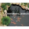 徐州景观鱼池净化工程系列_一流的鱼池水处理就选苏州祥和精创净化工程