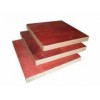 多层板哪里质量好 金昌木业信誉好的多层板销售商