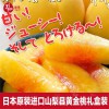深圳日本进口桃子批发价格，出口进口日本桃子批发