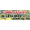 具有口碑的草花市场价格情况，北海道黄杨批发