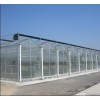 连栋温室大棚建造公司——潍坊专业的连栋温室厂家