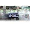 白云区奶牛场喷雾除臭装置，自动配比智能除臭机，环保除臭设备