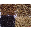 山东大麦芽|金源啤酒原料公司供应划算的大麦芽