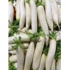 广州蔬菜配送，可信赖的蔬菜配送供应商在广东