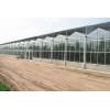 玻璃板温室建造哪里有——山东优质玻璃板温室建造公司