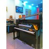 选购优惠的新恺撒堡kA艺术家钢琴，就来越博 东莞钢琴店