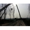 西安知名的吊车包月公司【推荐】——专业吊架设桥梁队价位