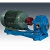 贵州保温齿轮泵直营厂家/泊头特种泵阀质量可靠服务一体
