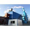 山东锅炉除尘器生产厂家/国绿环保设备品质保证