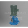 广西齿轮油泵/泊头特种泵阀规格YHB-LY系列立式圆弧齿轮泵