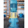 云南螺杆油泵厂家/东森泵业订制加工各规格3GCL立式螺杆泵