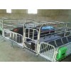 重庆猪用产床订做厂家/万晟畜牧设备有限公司品质保障