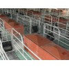 北京仔猪保育栏「旺农畜牧设备」母猪产床供应