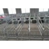 支持定制定位栏 整体热镀锌管材 养猪场限位栏