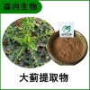 森冉生物 大蓟提取物 大刺儿菜提取物 植物提取原料粉