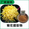 森冉生物 菊花提取物 贡菊提取物 比例提取原料粉