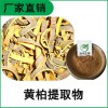 森冉生物 黄柏提取物 川柏提取物 比例提取原料粉