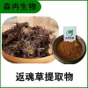 森冉生物 返魂草提取物 青苑提取物 比例提取原料粉