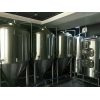 定做天津酒吧日产2吨的全套精酿啤酒设备工厂
