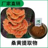 森冉生物 桑黄提取物 桑黄多糖 桑耳提取物