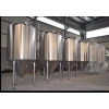 江苏小啤酒厂5吨自酿鲜啤酒设备 厂家定做直销