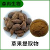 森冉生物 草果提取物 草果仁提取物 比例提取原料粉