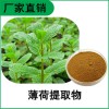 森冉生物 薄荷提取物 夜息香提取物 比例提取原料粉