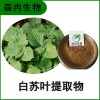 森冉生物 白苏叶提取物 荏叶提取物 比例提取原料粉