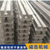 厂家批发铸铁平台2乘5米大厂直营 T型槽地轨带水槽