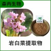 森冉生物 岩白菜提取物 石白菜提取物 比例提取原料粉